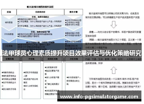 法甲球员心理素质提升项目效果评估与优化策略研究