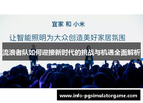 流浪者队如何迎接新时代的挑战与机遇全面解析