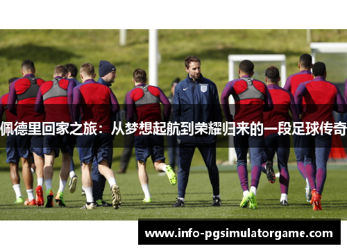 佩德里回家之旅：从梦想起航到荣耀归来的一段足球传奇