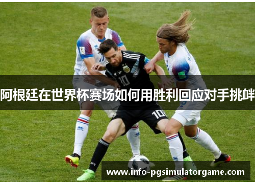 阿根廷在世界杯赛场如何用胜利回应对手挑衅