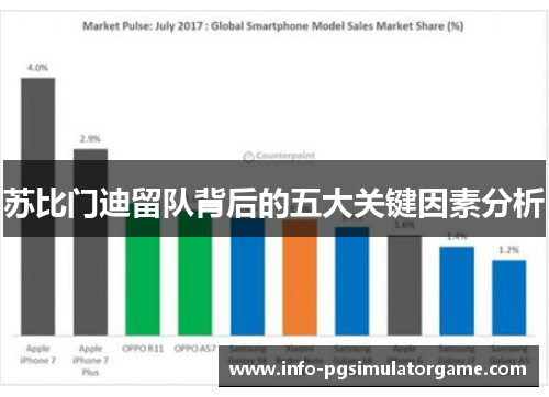 苏比门迪留队背后的五大关键因素分析
