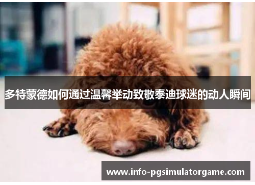 多特蒙德如何通过温馨举动致敬泰迪球迷的动人瞬间