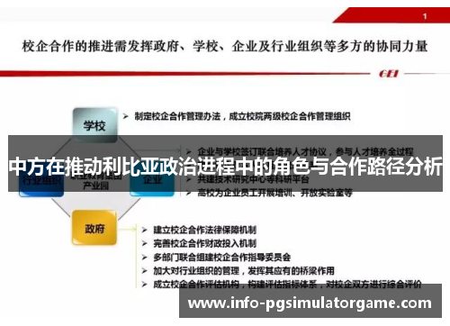 中方在推动利比亚政治进程中的角色与合作路径分析
