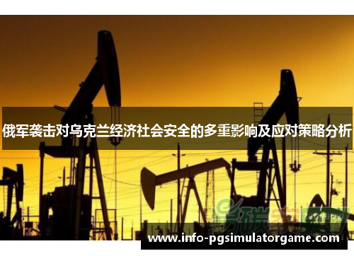 俄军袭击对乌克兰经济社会安全的多重影响及应对策略分析