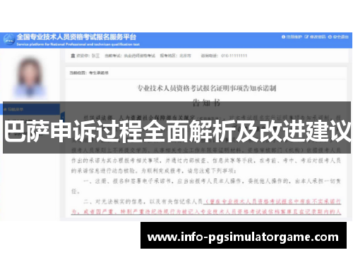 巴萨申诉过程全面解析及改进建议