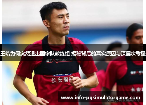 王皓为何突然退出国家队教练组 揭秘背后的真实原因与深层次考量