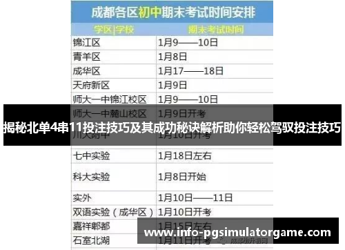 揭秘北单4串11投注技巧及其成功秘诀解析助你轻松驾驭投注技巧
