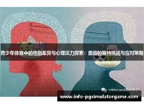 青少年体育中的性别差异与心理压力探索：面临的独特挑战与应对策略