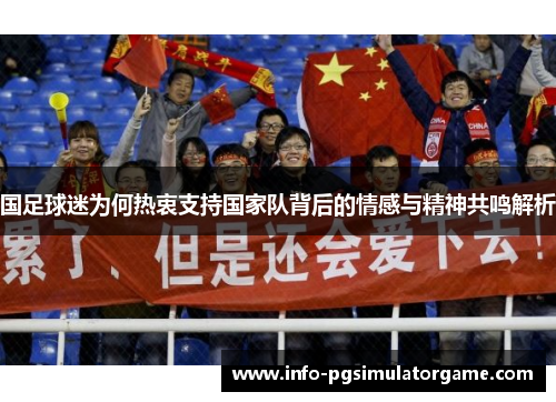 国足球迷为何热衷支持国家队背后的情感与精神共鸣解析