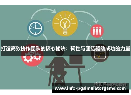 打造高效协作团队的核心秘诀：韧性与团结驱动成功的力量