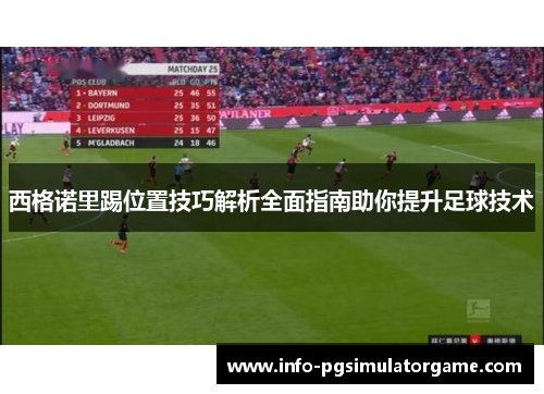 西格诺里踢位置技巧解析全面指南助你提升足球技术