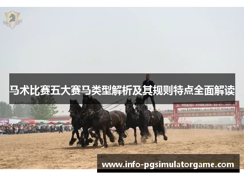 马术比赛五大赛马类型解析及其规则特点全面解读