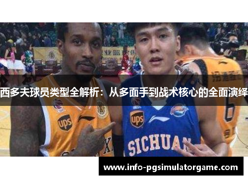 西多夫球员类型全解析：从多面手到战术核心的全面演绎