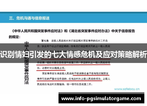 识别情妇引发的七大情感危机及应对策略解析