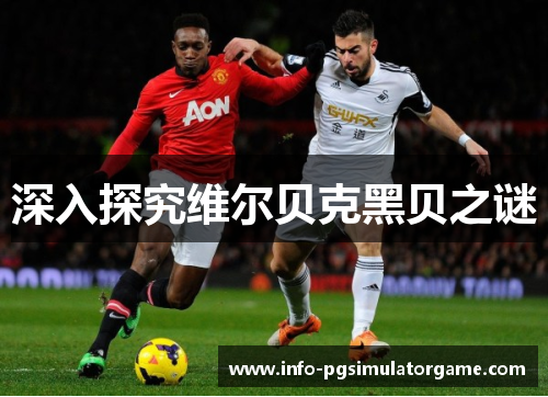 深入探究维尔贝克黑贝之谜