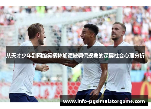从天才少年到网络笑柄林加德被调侃现象的深层社会心理分析 从天才少年到网络笑柄林加德被调侃现象的深层社会心理分析