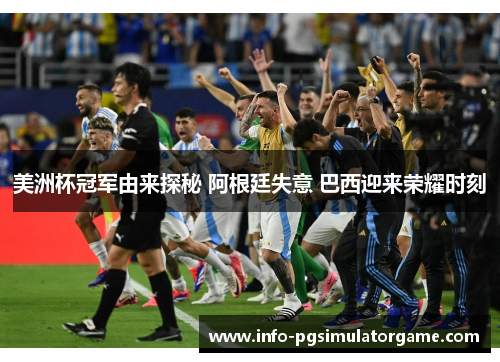 美洲杯冠军由来探秘 阿根廷失意 巴西迎来荣耀时刻 美洲杯冠军由来探秘 阿根廷失意 巴西迎来荣耀时刻