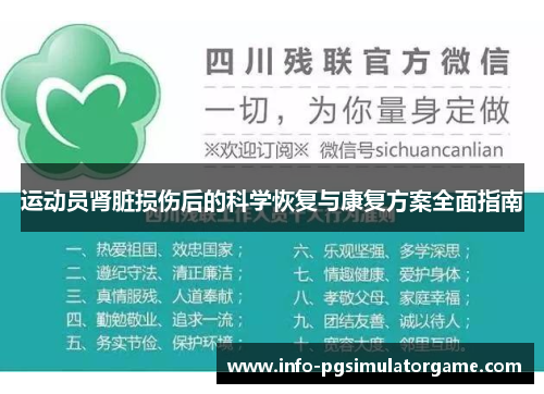 运动员肾脏损伤后的科学恢复与康复方案全面指南