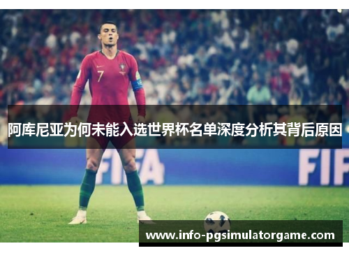 阿库尼亚为何未能入选世界杯名单深度分析其背后原因 阿库尼亚为何未能入选世界杯名单深度分析其背后原因
