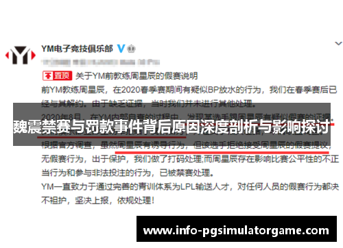 魏震禁赛与罚款事件背后原因深度剖析与影响探讨