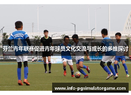 芬兰青年联赛促进青年球员文化交流与成长的多维探讨