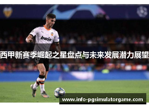西甲新赛季崛起之星盘点与未来发展潜力展望