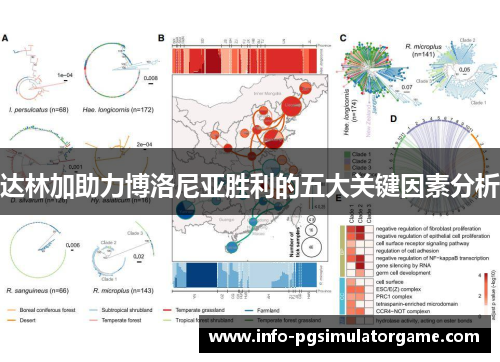 达林加助力博洛尼亚胜利的五大关键因素分析